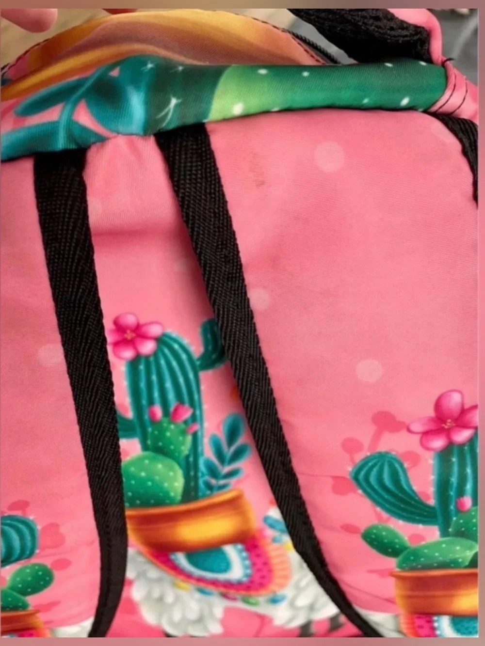🦙 Fiesta Llama Backpack and (2) 3-Ring Binder Set